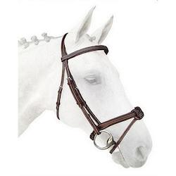 Silver Crown Bridle Flash Noseband