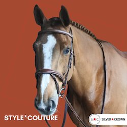 Silver Crown Bridle Tetiere Bridle