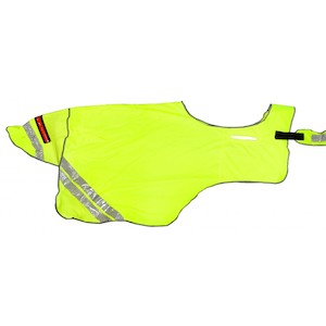 Kiwi Fluro Quarter Sheet