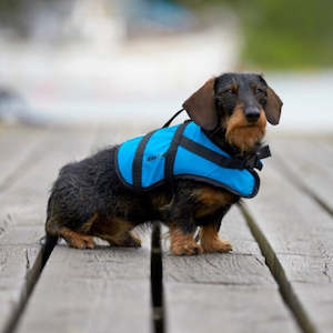 Lifejackets: Blue Pet Aid