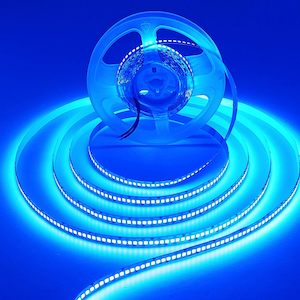 2835 12V LED Strip Light String Blue 5M 120/LEDs