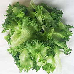 Lettuce, Frilly lettuce, sweet & crunchy - 200g