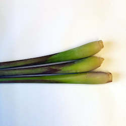 Vegetable growing: Lemongrass - 3 stems