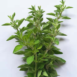 Vegetable growing: Oregano - 20g