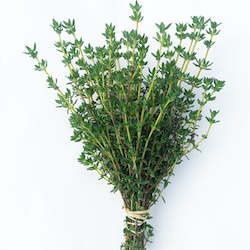 Vegetable growing: Thyme - bunch