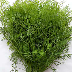 Vegetable growing: Dill - 30g bag