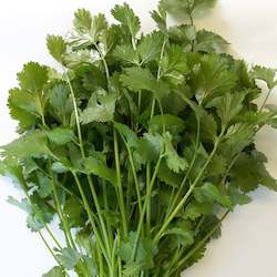 Coriander - whole plant