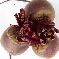 Beetroot, loose - 1kg