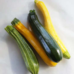 Zucchini multi coloured- 500g