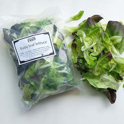 Lettuce babyleaf mix - 200g