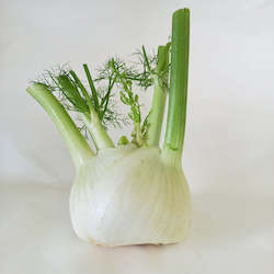 Fennel - 1 bulb