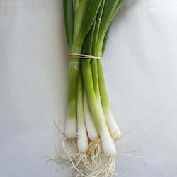 Spring Onions