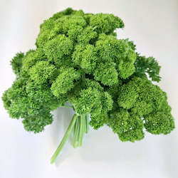 Vegetable growing: Parsley, Curly - bunch