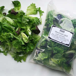 Vegetable growing: Lettuce Mixed Leaf Salad - 300g