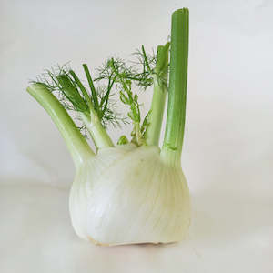 Fennel - each