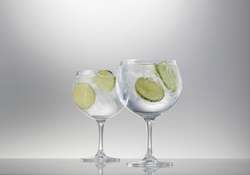 Gin Glasses