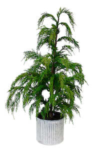 Cosmetic: Christmas Tree - Weeping Cedar