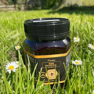 Gillard Creamed Honey 1Kg - Raw Mānuka