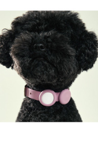 Frank Green Pet Safety Light