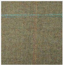 Clothing: Tweed - Siskin