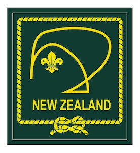 Blanket Patch - New Zealand - Green Stylised Kiwi