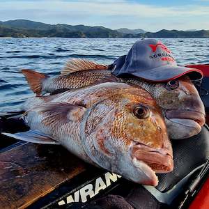 Charter fishing boat: Screaming Reels Embroidered Cap