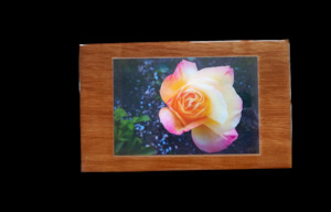 Wood Mount: Peace Rose