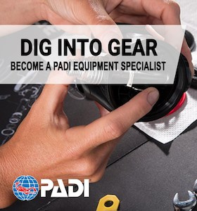 PADI Equipment Specialty - Wellington SCUBA Diving