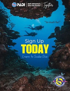 Diving school: Padi Open Water Diver Course