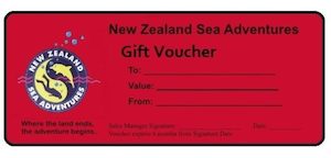 Vouchers - Wellington SCUBA Diving