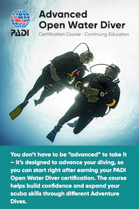 Diving school: “Your Next Step in Underwater Adventure”