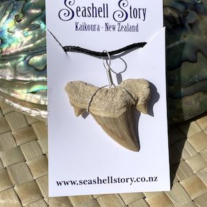 Genuine Otodus Obliquus Fossil Pendant – Shark Tooth Necklace Large