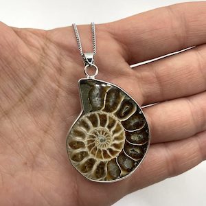 Genuine Fossilised Natural Nautilus Shell Necklace