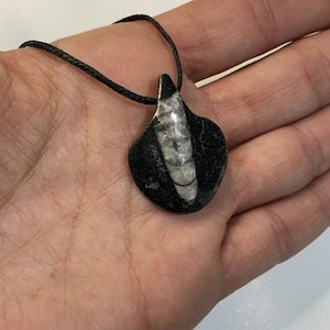 Genuine Fossil Orthoceras Necklace Pendant