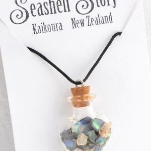 Choker Necklace - Seashell Story Kaikoura: Large Round Paua NZ Natural Paua Shell Earrings