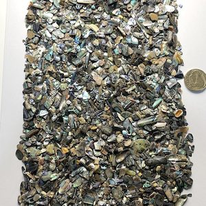 High-Quality NZ Abalone – Paua Shell Tumbled Pieces Xtra Fine – 2 to 5 mm