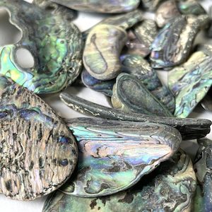 NZ Abalone – Paua Shell Tumbled Pieces 100g – Unsorted