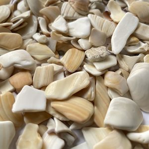 Seashell Tumbled Pieces – Beige / White – 200 g