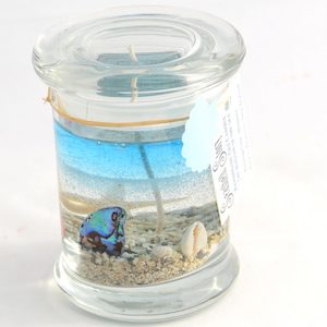 Gel Candles - Seashell Story Kaikoura: Gel Candle With Lid