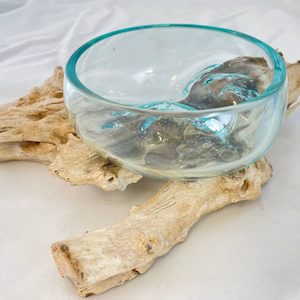 Glass Bowl on Driftwood