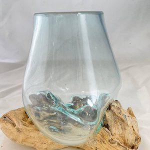 Glass - Seashell Story Kaikoura: Glass Vase on Driftwood