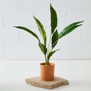 Plants Florals Planters: Real Touch Faux Plant in Ceramic Pot