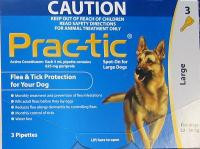 Prac-tic Large Dog - Seed and Feed