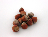 Seed wholesaling: Hazel nuts - seed and feed