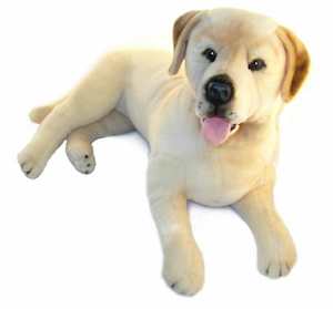 Weighted Dog (Golden Labrador 4.5kg)