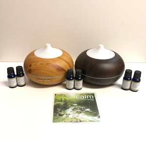 Diffuser Starter Kit Wood 300ml