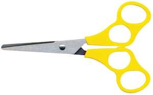 Training Scissors