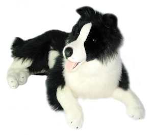 Weighted Dog Border Collie 4kg