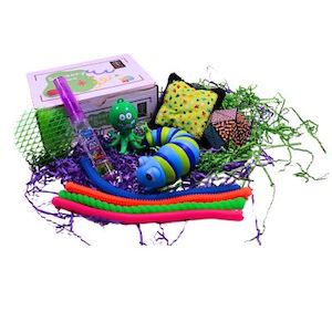 Sensory Boxes - Sensory Box One Off - Sensory Tree