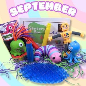 Sensory Boxes - Septembers Monthly Sensory Box - Sensory Tree